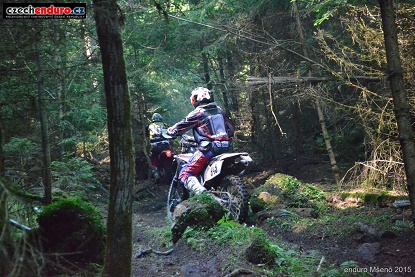 mseno2015