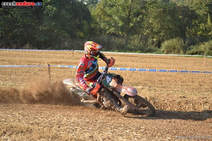 mseno2016